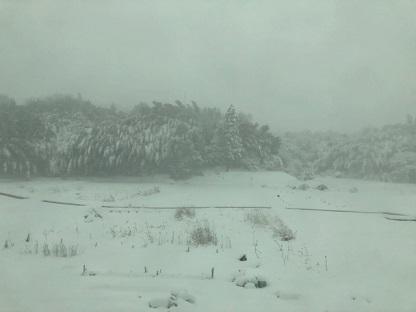 20211226snow1.jpg